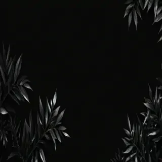 aesthetic background black