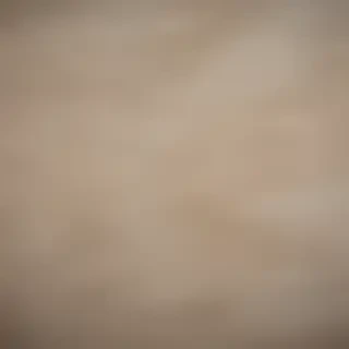 canvas texture overlay