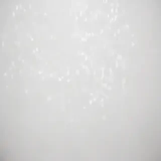 white bg
