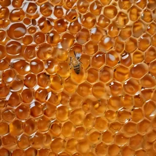 honey background