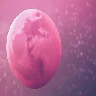 pink moon wallpaper