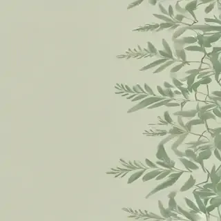 light sage green background