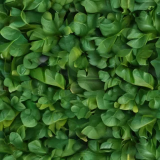 green leaf background