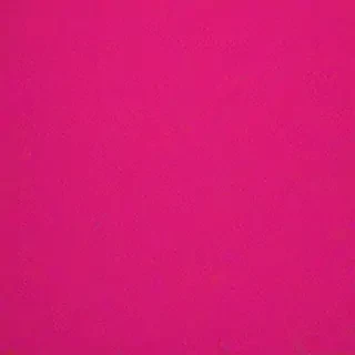 hot pink background