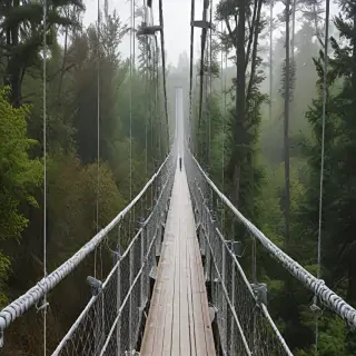 suspension bridge