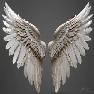 png angel wings