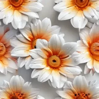 flower white bg