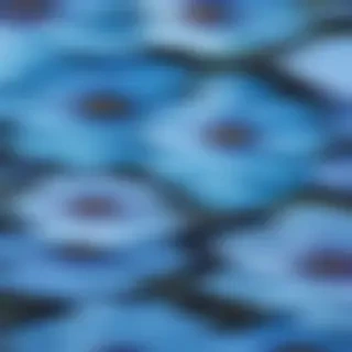 background blue flower wallpaper