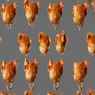 chicken transparent background