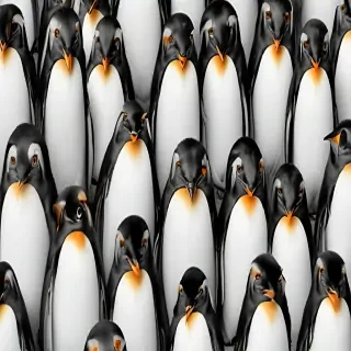 penguins background