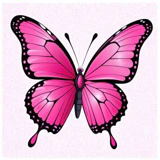 pink butterfly clipart