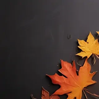 fall iphone wallpaper