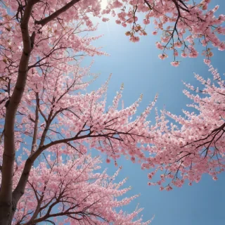 aesthetic spring wallpaper