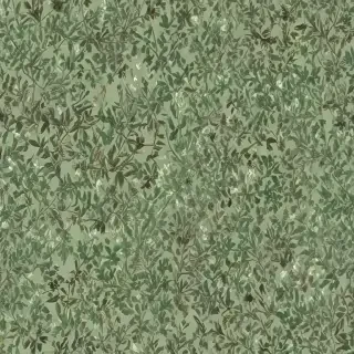 aesthetic sage green