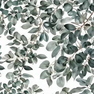 eucalyptus clipart black and white
