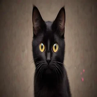 cute black cat wallpaper