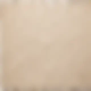 torn paper textures