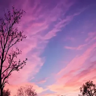 very pretty backgrounds