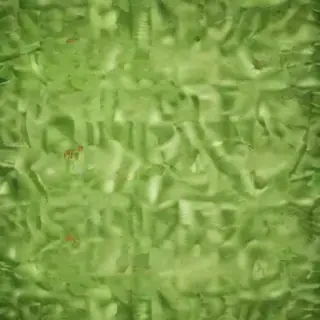 textured green background