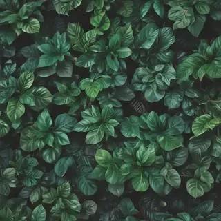 plants background iphone
