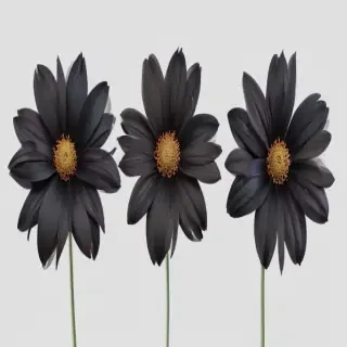 black flower png