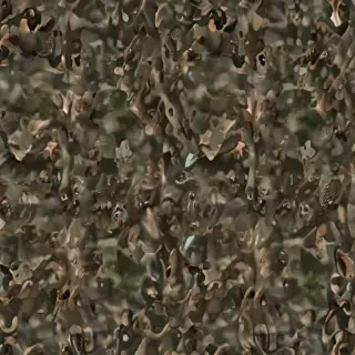 camo png