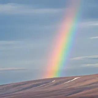 pastel coloured rainbow