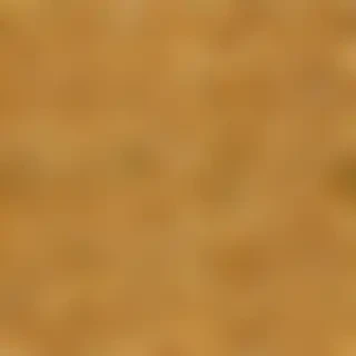 ramen noodles png