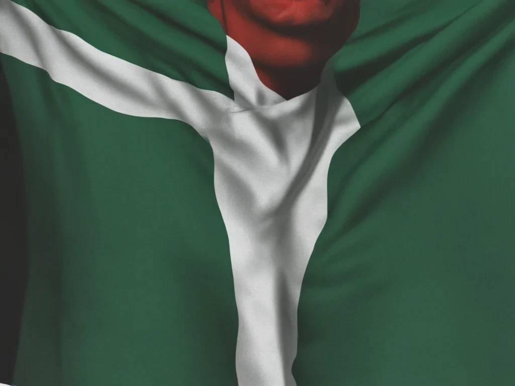 nigeria flag png