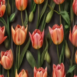 tulips wallpaper aesthetic