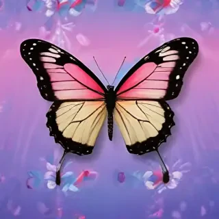 background images of butterfly