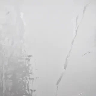 white grey background