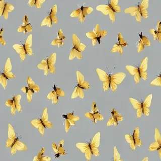 butter flies png