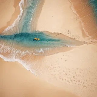 summer beach background