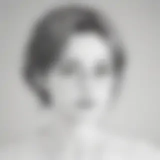 transparent line art