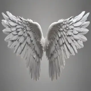 angel wings png