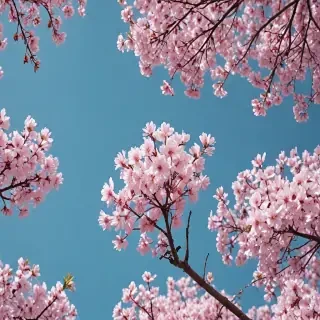 spring wallpaper aesthetic