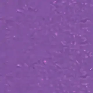 aesthetic purple backgrounds