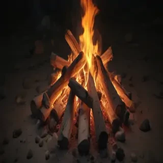 camp fire png