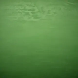 textured green background