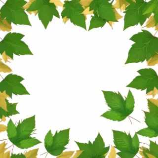 leaves transparent background