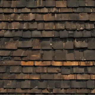 picture of shingles