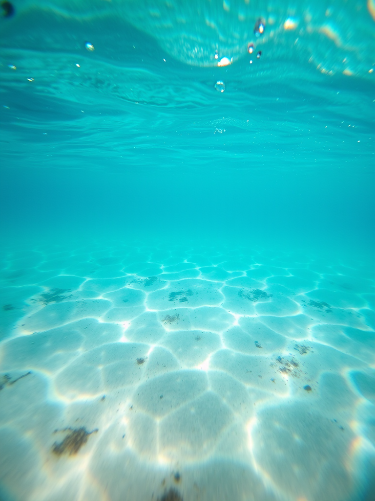 Capture a tranquil underwater scene with a clear blue ocean and sandy seabed, shot with a DSLR camera at f/8, 1/125 sec, ISO 100, wide-angle lens, ensuring vibrant colors and sharp details, with a focus on the surface light filtering through the water.