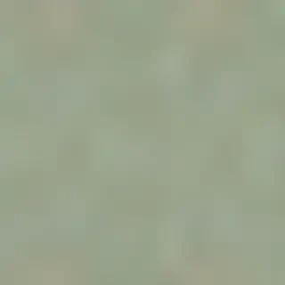sage green backround