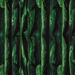 plant wallpaper iphone