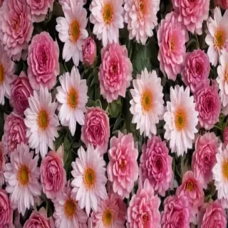 flower background for phone