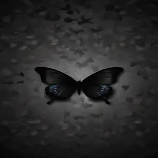 black butterfly wallpaper hd