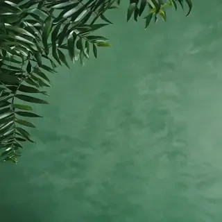 green background aesthetic