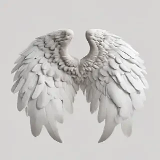 png angel wings