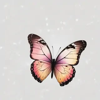 transparent background butterfly clipart